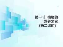 生物苏教版（2024）第1节 植物的营养器官图文ppt课件
