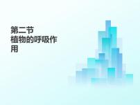 初中苏教版（2024）第2节 植物的呼吸作用教学演示课件ppt