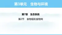 初中第2节 食物链和食物网教课课件ppt