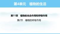 苏教版（2024）七年级下册（2024）第2节 植物的呼吸作用课前预习课件ppt