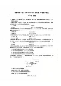河北省邯郸市第二十五中学2024-2025学年八年级上学期期末考试生物试卷