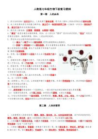 3.人教版七年级生物下册期末复习复习提纲学案