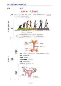 7年级下册人教版生物期末复习01  人的由来（晨读版）学案