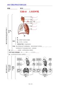 7年级下册人教版生物期末复习03  人体的呼吸（晚默版）学案