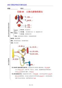 7年级下册人教版生物期末复习05   人体内废物的排出（晨读版）学案