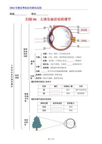 7年级下册人教版生物期末复习06   人体生命活动的调节（晚默版）_学案