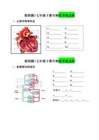 7年级下册人教版生物期末复习常考填图题（空白）学案