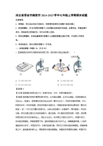 河北省邢台市南宫市2024-2025学年七年级上学期期末生物试卷（解析版）