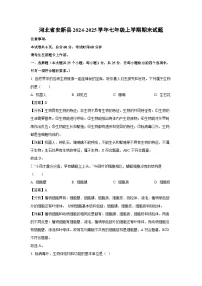 河北省安新县2024-2025学年七年级上学期期末生物试卷（解析版）