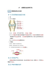 【中考帮·易错题】07 动物的运动和行为-2025届中考生物易错题 练习