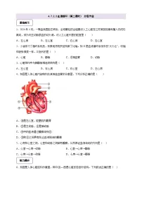 北师大版（2024）七年级下册（2024）第2节 血液循环优秀第2课时当堂达标检测题