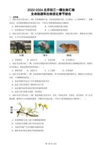 2022-2024北京初三中考一模生物汇编：生命起源和生物进化章节综合