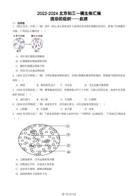 2022-2024北京初三中考一模生物汇编：流动的组织──血液