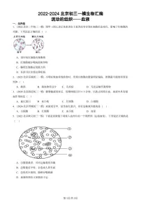 2022-2024北京初三中考一模生物汇编：流动的组织──血液