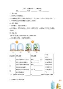 人教版（2024）七年级下册（2024）第二节 光合作用第2课时学案