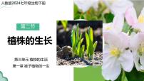 生物七年级下册（2024）第三单元 植物的生活第一章 被子植物的一生第二节 植株的生长教学演示课件ppt