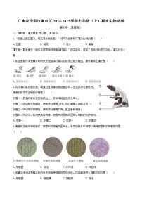 广东省深圳市南山区2024-2025学年七年级（上）期末生物试卷
