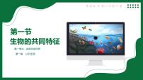 初中鲁科版 (五四制)2024第一节 无脊椎动物课堂教学课件ppt