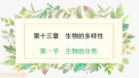 初中第十三章 生物的多样性第一节 生物的分类教案配套ppt课件