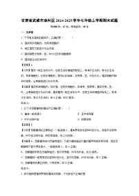 甘肃省武威市凉州区2024-2025学年七年级上学期期末生物试卷（解析版）