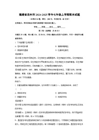 福建省泉州市2024-2025学年七年级(上)期末生物试卷（解析版）