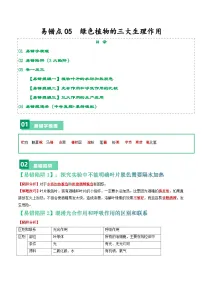 中考生物总复习易错点05 绿色植物的三大生理作用-备战2024年中考生物考试易错题（全国通用）（解析版）