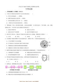 2024～2025学年四川省泸州市泸县第五中学七年级上1月期末生物试卷(含答案)