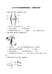 中考生物总复习2024年中考生物读图理解专题复习：生物圈中的动物（含答案）练习