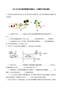 中考生物总复习2024年中考生物读图理解专题复习：生物圈中的绿色植物（含答案）练习