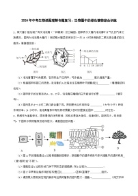 中考生物总复习2024年中考生物读图理解专题复习：生物圈中的绿色植物综合训练（含答案）