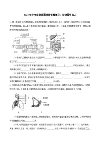 中考生物总复习2024年中考生物读图理解专题复习：生物圈中的人（含答案）练习