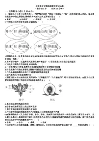 七年级下学期生物学期中考试试题（含答案）（适合济南版）