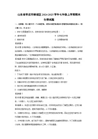 山东省枣庄市峄城区2024-2025学年七年级上学期期末生物生物试卷（解析版）