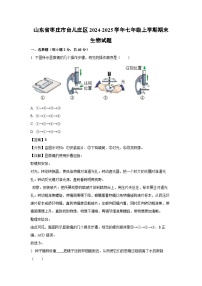 山东省枣庄市台儿庄区2024-2025学年七年级上学期期末生物生物试卷（解析版）