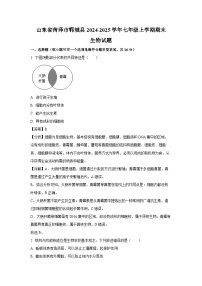 山东省菏泽市郓城县2024-2025学年七年级上学期期末生物生物试卷（解析版）