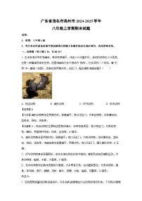 广东省茂名市高州市2024-2025学年八年级(上)期末生物试卷（解析版）