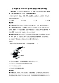 广西河池市2024-2025学年七年级(上)期末生物试卷（解析版）