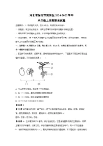 河北省保定市竞秀区2024-2025学年八年级(上)期末生物试卷（解析版）