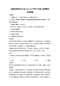河南省信阳市光山县2024-2025学年七年级上学期期末生物生物试卷（解析版）