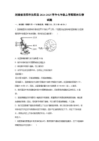 河南省洛阳市汝阳县2024-2025学年七年级上学期期末生物生物试卷（解析版）