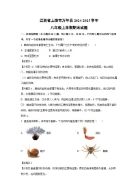 江西省上饶市万年县2024-2025学年八年级(上)期末生物试卷（解析版）