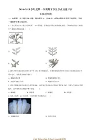 2024～2025学年广东省汕头市龙湖区七年级上期末生物试卷(含答案)