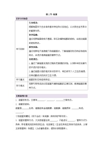 初中人教版（2024）第二单元 多种多样的生物第三章 微生物第二节 细菌学案设计