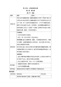 人教版（2024）七年级上册（2024）第三节 真菌教案设计