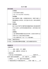 人教版（2024）七年级上册（2024）第三节 真菌导学案