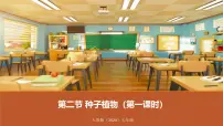 初中生物第二节 种子植物授课课件ppt