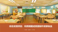 初中生物人教版（2024）七年级上册（2024）综合实践项目 利用细菌或真菌制作发酵食品示范课ppt课件