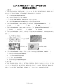 2024北京重点校初一（上）期中真题生物汇编：植物体的结构层次