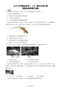 2024北京重点校初二（上）期中真题生物汇编：两栖动物和爬行动物