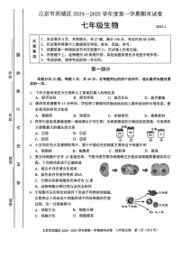 2025北京西城初一（上）期末生物试卷（有答案）